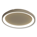 BRILAGI - LED Stmievateľné stropné svietidlo FALCON SLIM LED/42W/230V 3000-6500K pr. 50 cm béžová + diaľkové ovládanie