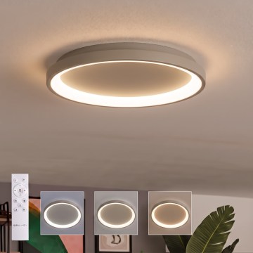 BRILAGI - LED Stmievateľné stropné svietidlo FALCON SLIM LED/42W/230V 3000-6500K pr. 50 cm béžová + diaľkové ovládanie