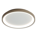 BRILAGI - LED stmievateľné stropné svietidlo FALCON SLIM LED/42W/230V 3000-6500K priemer 50 cm biela/béžová + diaľkové ovládanie