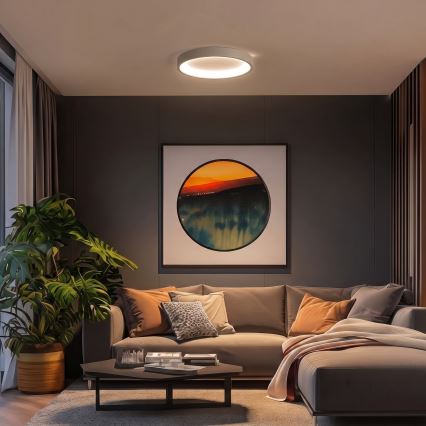 BRILAGI - LED stmievateľné stropné svietidlo FALCON SLIM LED/42W/230V 3000-6500K priemer 50 cm biela/béžová + diaľkové ovládanie