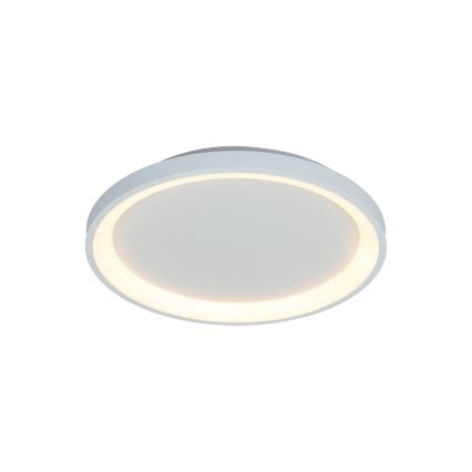 Brilagi - LED stmievané stropné svietidlo FALCON SLIM LED/42W/230V 3000-6500K priemer 50 cm biela + diaľkové ovládanie