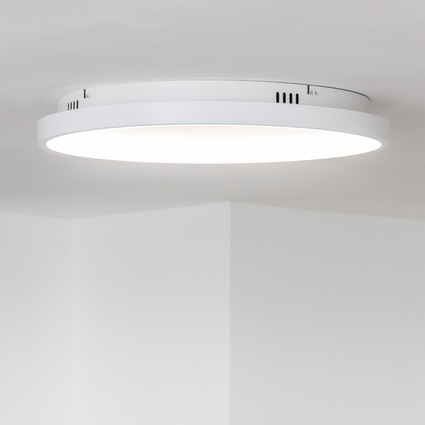Brilagi - LED stmievateľné stropné svietidlo FALCON SLIM LED/42W/230V 3000-6500K priemer 50 cm biela + diaľkové ovládanie