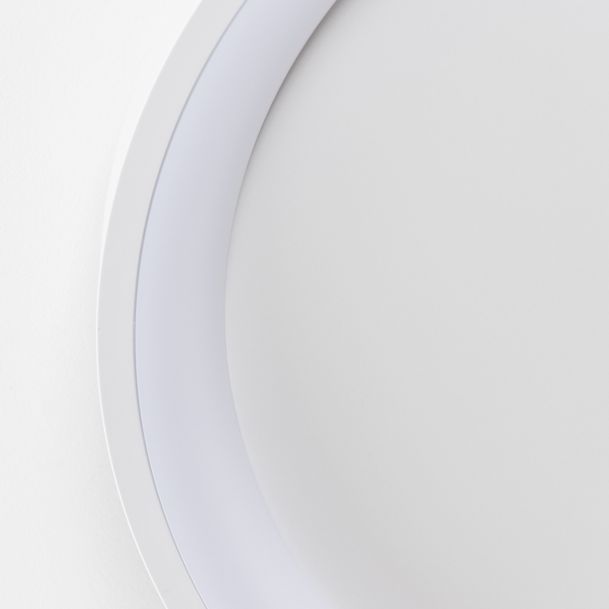 Brilagi - LED stmievateľné stropné svietidlo FALCON SLIM LED/42W/230V 3000-6500K priemer 50 cm biela + diaľkové ovládanie