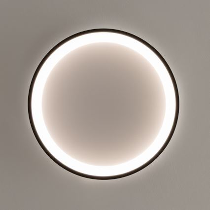 Brilagi - LED Stmievateľné stropné svietidlo FALCON SLIM LED/42W/230V 3000-6500K pr. 50 cm čierna + diaľkové ovládanie