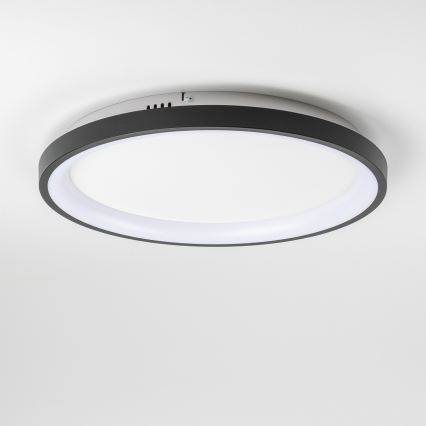 Brilagi - LED Stmievateľné stropné svietidlo FALCON SLIM LED/42W/230V 3000-6500K pr. 50 cm čierna + diaľkové ovládanie