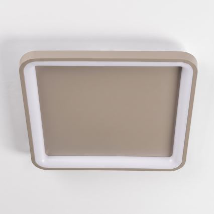 BRILAGI - LED stmievateľné stropné svietidlo FALCON SLIM LED/50W/230V 3000-6500K 50x50 cm béžové + diaľkové ovládanie