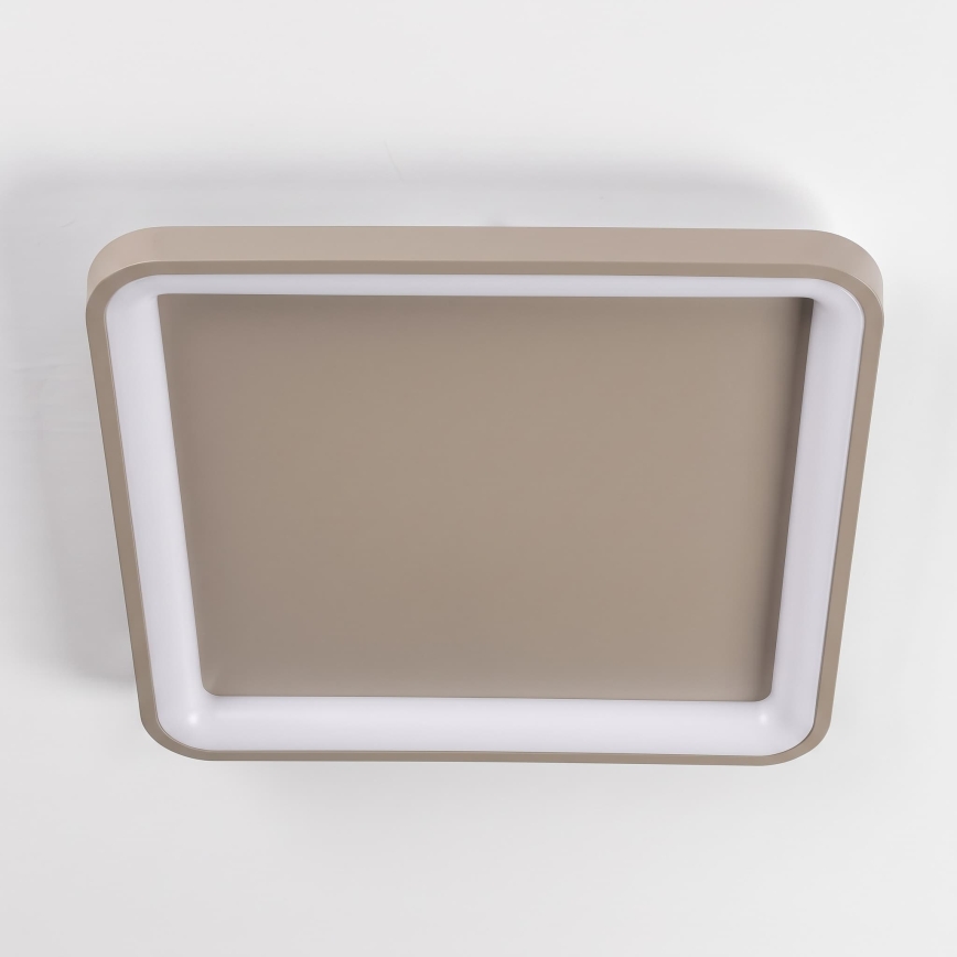 BRILAGI - LED stmievateľné stropné svietidlo FALCON SLIM LED/50W/230V 3000-6500K 50x50 cm béžové + diaľkové ovládanie