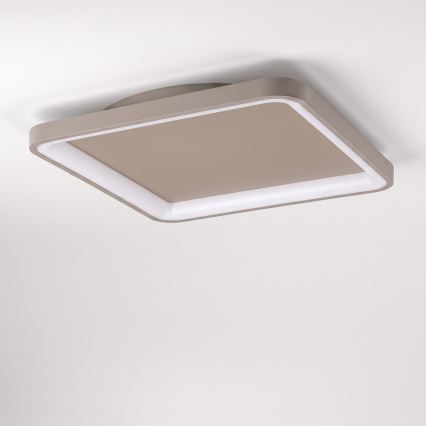 BRILAGI - LED stmievateľné stropné svietidlo FALCON SLIM LED/50W/230V 3000-6500K 50x50 cm béžové + diaľkové ovládanie