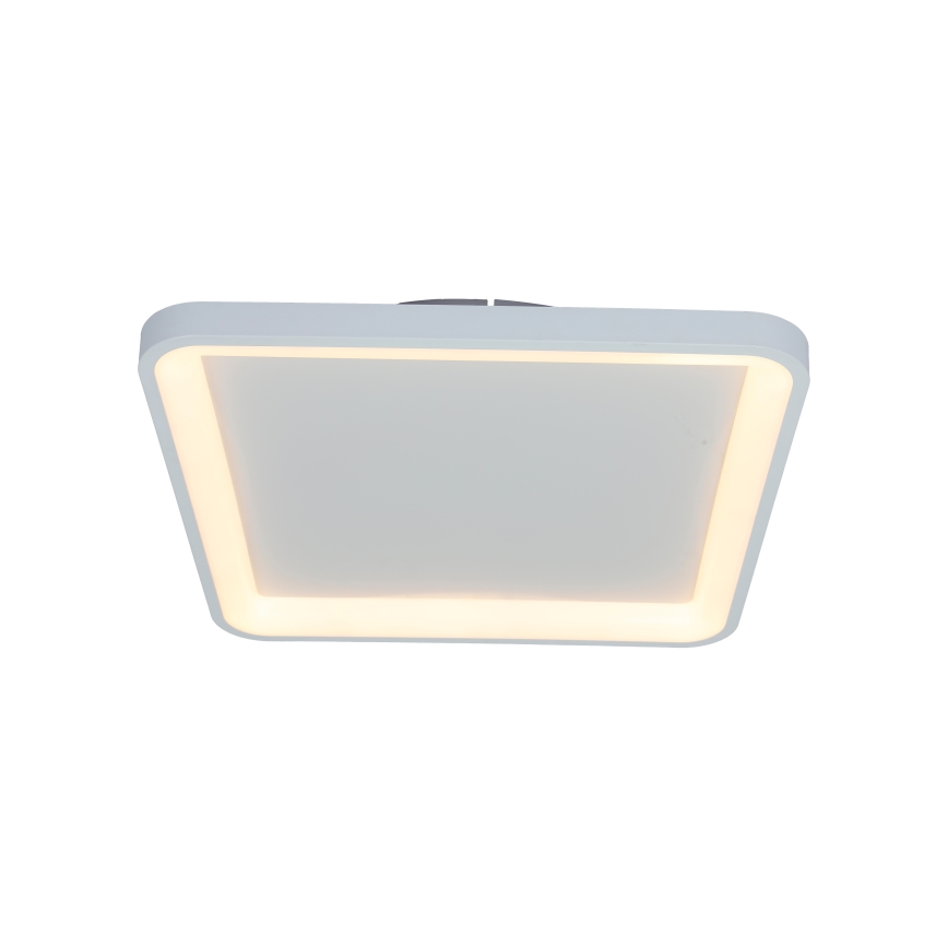 Brilagi - LED stmievateľné stropné svietidlo FALCON SLIM LED/50W/230V 3000-6500K 50x50 cm biele + diaľkové ovládanie