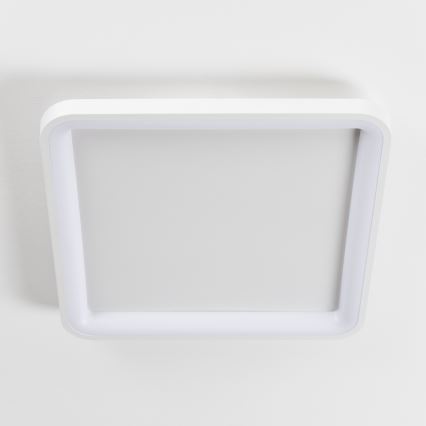 Brilagi - stmievateľné LED stropné svietidlo FALCON SLIM LED/50W/230V 3000-6500K 50x50 cm biela + diaľkové ovládanie