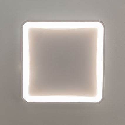 Brilagi - stmievateľné LED stropné svietidlo FALCON SLIM LED/50W/230V 3000-6500K 50x50 cm biela + diaľkové ovládanie