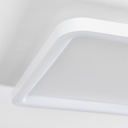 Brilagi - stmievateľné LED stropné svietidlo FALCON SLIM LED/50W/230V 3000-6500K 50x50 cm biela + diaľkové ovládanie