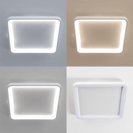 Brilagi - stmievateľné LED stropné svietidlo FALCON SLIM LED/50W/230V 3000-6500K 50x50 cm biela + diaľkové ovládanie
