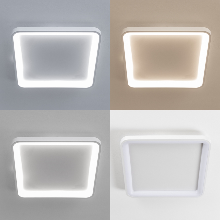 Brilagi - stmievateľné LED stropné svietidlo FALCON SLIM LED/50W/230V 3000-6500K 50x50 cm biela + diaľkové ovládanie