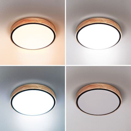 Brilagi - LED stmievateľné stropné svietidlo GLORIA LED/48W/230V 3000-6500K dub priemer 40 cm + diaľkové ovládanie