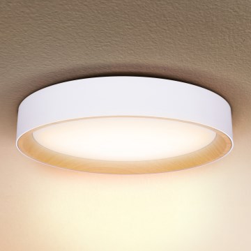 Brilagi - LED Stmievateľné stropné svietidlo LARIOS LED/48W/230V 3000-6500K ø 39 cm biela + diaľkové ovládanie