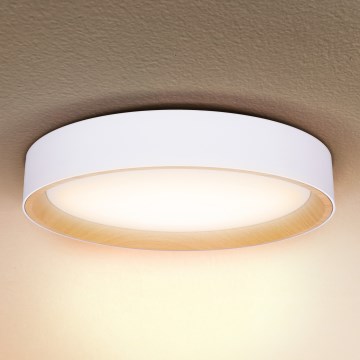 Brilagi - LED Stmievateľné stropné svietidlo LARIOS LED/60W/230V 3000-6500K ø 49 cm biela + diaľkové ovládanie