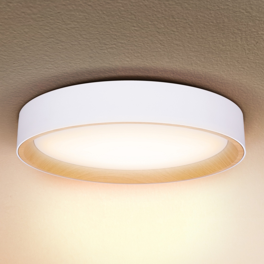 Brilagi - LED Stmievateľné stropné svietidlo LARIOS LED/60W/230V 3000-6500K ø 49 cm biela + diaľkové ovládanie