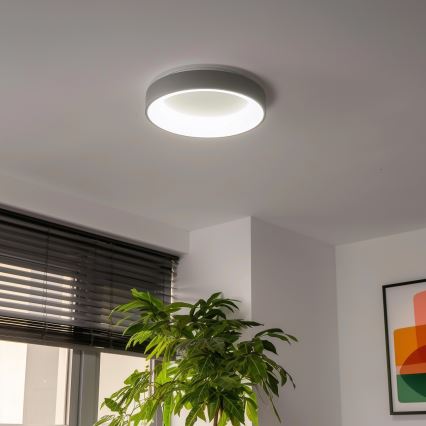 Brilagi - LED Stmievateľné stropné svietidlo FALCON LED/40W/230V 3000-6500K pr. 45 šedá + diaľkové ovládanie