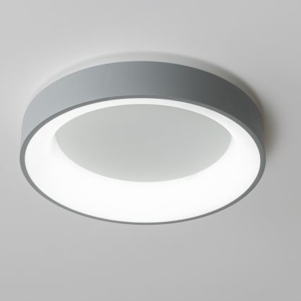 Brilagi - LED Stmievateľné stropné svietidlo FALCON LED/40W/230V 3000-6500K pr. 45 šedá + diaľkové ovládanie