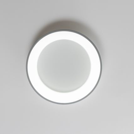 Brilagi - LED Stmievateľné stropné svietidlo FALCON LED/40W/230V 3000-6500K pr. 45 šedá + diaľkové ovládanie