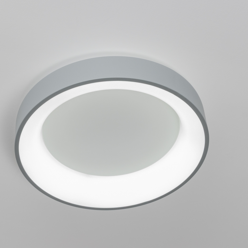 Brilagi - LED Stmievateľné stropné svietidlo FALCON LED/40W/230V 3000-6500K pr. 45 šedá + diaľkové ovládanie