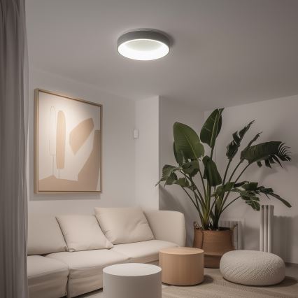 Svetlo - svieti - v obývacej izbe s pohovkou a rastlinou.