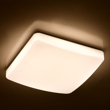 Brilagi - LED Stmievateľné stropné svietidlo MILKY LED/24W/230V + DO 3000K-6500K