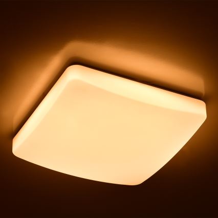 Brilagi - LED Stmievateľné stropné svietidlo MILKY LED/24W/230V + DO 3000K-6500K