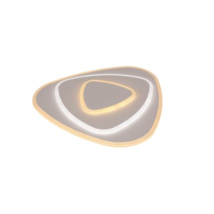 Brilagi - LED stmievané stropné svietidlo MODERN LED/58W/230V 3000-6000K 47x48,5 cm+ diaľkové ovládanie