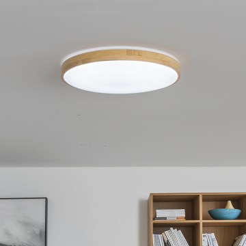 Brilagi - LED stmievateľné stropné svietidlo PINE LED/24W/230V priemer 42 cm 3000-6500K + diaľkové ovládanie