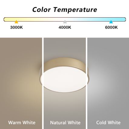 Brilagi - stmievateľné LED stropné svietidlo POOL LED/24W/230V 3000-6000K priemer 20 cm zlaté + diaľkové ovládanie