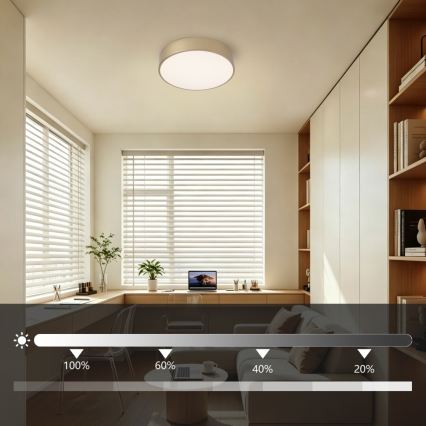 Brilagi - stmievateľné LED stropné svietidlo POOL LED/24W/230V 3000-6000K priemer 20 cm zlaté + diaľkové ovládanie