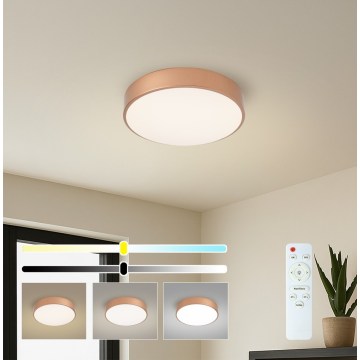 Brilagi - LED stmievateľné stropné svietidlo POOL LED/36W/230V 3000–6000 K priemer 30 cm bronzové + diaľkové ovládanie