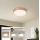 Brilagi - LED stmievateľné stropné svietidlo POOL LED/36W/230V 3000–6000 K priemer 30 cm bronzové + diaľkové ovládanie