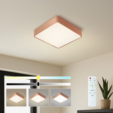Brilagi - LED stmievateľné stropné svietidlo POOL LED/36W/230V 3000-6000K 40x40 cm bronzové + diaľkové ovládanie