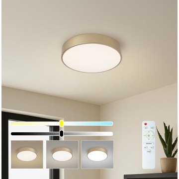 Brilagi - LED stmievateľné stropné svietidlo POOL LED/36W/230V 3000-6000K priemer 30 cm zlaté + diaľkové ovládanie