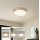 Brilagi - LED stmievateľné stropné svietidlo POOL LED/36W/230V 3000-6000K priemer 30 cm zlaté + diaľkové ovládanie