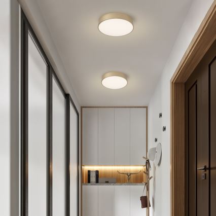 Brilagi - LED stmievateľné stropné svietidlo POOL LED/36W/230V 3000-6000K priemer 30 cm zlaté + diaľkové ovládanie