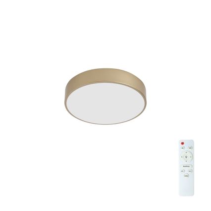 Brilagi - LED stmievateľné stropné svietidlo POOL LED/36W/230V 3000-6000K priemer 30 cm zlaté + diaľkové ovládanie