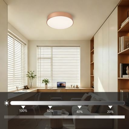 Brilagi - LED stmievateľné stropné svietidlo POOL LED/36W/230V 3000–6000 K priemer 30 cm bronzové + diaľkové ovládanie