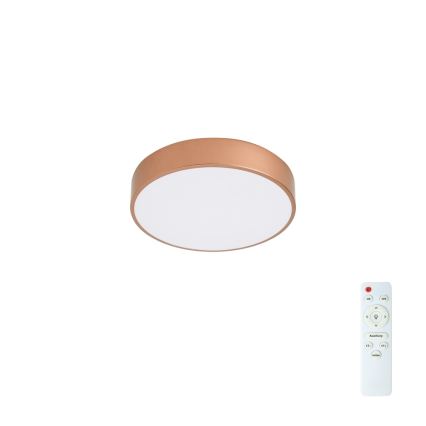 Brilagi - LED stmievateľné stropné svietidlo POOL LED/36W/230V 3000–6000 K priemer 30 cm bronzové + diaľkové ovládanie