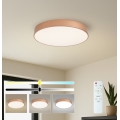 Brilagi - LED stmievateľné stropné svietidlo POOL LED/60W/230V 3000-6000K pr. 50 cm bronzové + diaľkové ovládanie