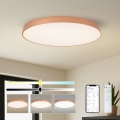 BRILAGI - LED Stmievateľné stropné svietidlo POOL SMART LED/128W/230V 100 cm 3000-6000K Wi-Fi Tuya bronzové + diaľkové ovládanie