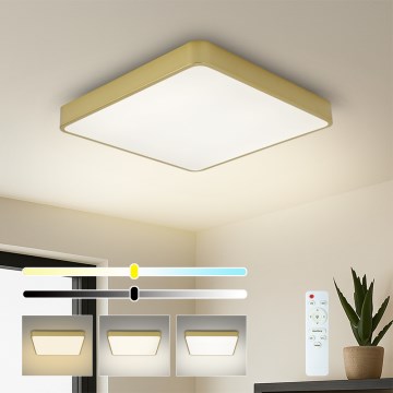 Brilagi - LED Stmievateľné stropné svietidlo POOL SQUARE LED/36W/230V 3000-6000K 40x40 cm zlatá + diaľkové ovládanie