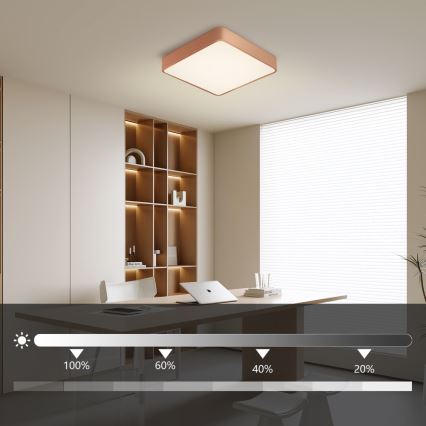 Brilagi - LED stmievateľné stropné svietidlo POOL SQUARE LED/36W/230V 3000-6000K 40x40 cm bronzové + diaľkové ovládanie