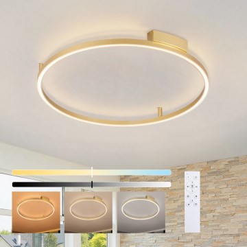 Brilagi - LED stmievateľné stropné svietidlo PORTOFINO LED/60W/230V 3000-6000K pr. 80 cm zlatá + diaľkové ovládanie