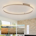 Brilagi - LED Stmievateľné stropné svietidlo PORTOFINO LED/85W/230V 3000-6000K pr. 120 cm béžová + diaľkové ovládanie