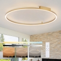 Brilagi - LED stmievateľné stropné svietidlo PORTOFINO LED/85W/230V 3000-6000K priemer 120 cm zlaté + diaľkové ovládanie