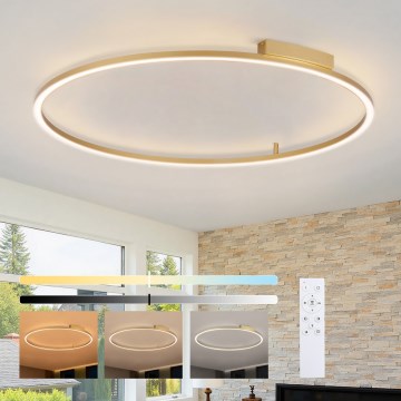Brilagi - LED stmievateľné stropné svietidlo PORTOFINO LED/85W/230V 3000-6000K priemer 120 cm zlaté + diaľkové ovládanie